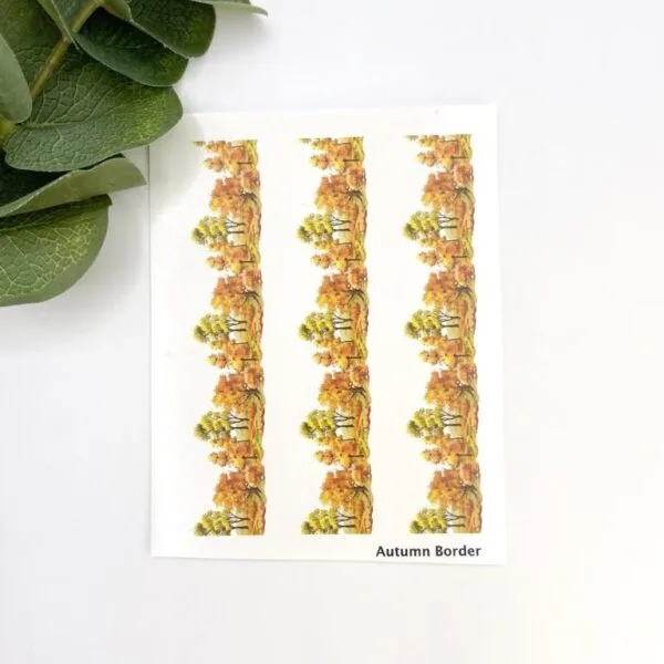 Autumn Border Stephologies